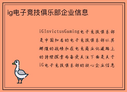 ig电子竞技俱乐部企业信息